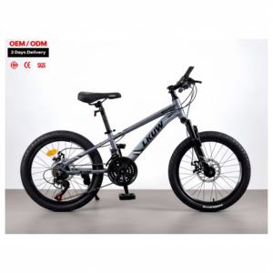 Bicicleta de Montaña Mtb de 20-26 Pulgadas con Frenos de Disco, 21 Velocidades, Cuadro de Aleación de Aluminio, Bicicleta BMX, Bicicletas, Embalaje en Cartón AB, CKD - Product Image 1