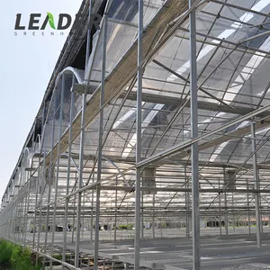 Outdoor galvanized rain gutter connected multi span greenhouse plastic film covering poly tunnel with shade net for organic grow