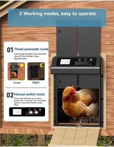 Offre Spéciale Électrique <span class=keywords><strong>Poulailler</strong></span> <span class=keywords><strong>Porte</strong></span> Ménage En Alliage D'aluminium Poulet Nid <span class=keywords><strong>Porte</strong></span> Timing Ascenseur Poulet <span class=keywords><strong>Porte</strong></span> - Product Image 6