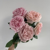 Roses artificielles blanches M308, toucher réaliste, latex de haute qualité, tige unique, roses artificielles pour la décoration de la maison et des mariages