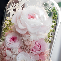 Geconserveerde roos glazen stolp eeuwige bloemarrangement gedroogde bloemen display romantisch cadeau voor Moederdag nieuwjaar huisdecoratie