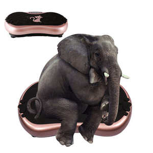 Giá tốt rung thiết bị tập thể dục cơ thể mỏng nhà phòng tập thể dục sử dụng điện rung tấm Vibrator máy - Product Image 2