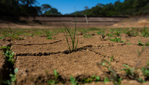 BTS phân bón với lưu huỳnh cao cho sức khỏe đất và thu hoạch lớn hơn - Product Image 5