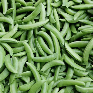 Mới được cắt hữu cơ đông lạnh đường Snap hạt đậu mầm tươi iqf nhà kính trồng rau sắc nét Rồng Thương hiệu cấp A-AAA 10kg - Product Image 4