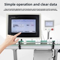 Machine de remplissage de liquides entièrement automatique à double tête avec convoyeur, remplisseuse quantitative pour détergent et liqueur