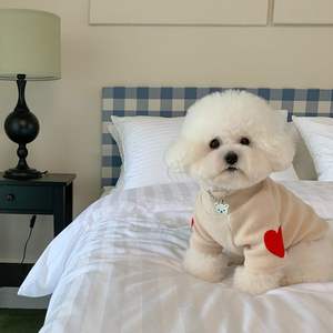 Automne hiver en peluche amour chandails animaux de compagnie chats petits vêtements pour chiens épais chaud chien vêtements accessoires pour animaux de compagnie - Product Image 5