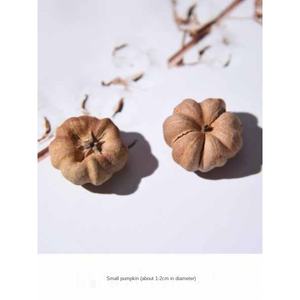 Materiales Naturales Creativos, Plantas de Nicho, Accesorios Personalizados, Joyería de Aretes de Fruta Seca, Aretes de Calabaza - Product Image 2