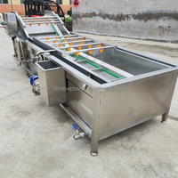 Citrusvruchten was-, was-, droog- en sorteermachine, mangowasmachine, passievruchtenwas- en wasmachine voor mango's
