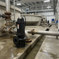 Pompe à eaux usées submersible automatique WQ anti-colmatage en acier inoxydable, haute efficacité, grand débit, avec broyeur, pour fosse de drainage de sous-sol