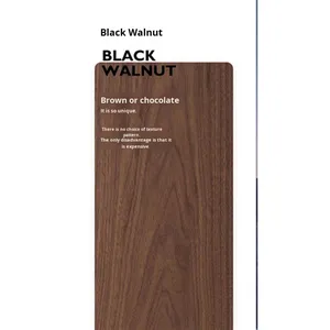 Mobile Moderno e Semplice in Legno Massello di Noce Nero Nordamericano, Lusso Leggero, Multifunzionale con Sei Cassetti per <span class=keywords><strong>Soggiorno</strong></span> e Camera da Letto - Product Image 6
