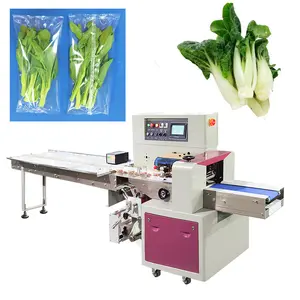 Machine à emballer horizontale de légumes verts de fruits frais d'oreiller automatique horizontal machine de sac en plastique de légumes