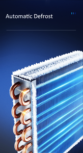 Deshumidificador Comercial Económico Portátil de 60 Litros para Invernadero o Taller con Temporizador - Product Image 3