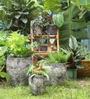 Pot Bunga Serat Semen Retro Bulat Terlaris 2024 untuk Taman, Hotel, Dekorasi Rumah, Indoor & Outdoor