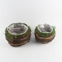 Mini plante succulente artificielle style moderne et créatif, en pot durable (mousse/rotin/corail) pour utilisation au sol, dans un jardin ou sur un bureau