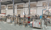 Machine automatique de mélangeur de convoyeur de tamis plastique alimentaire chimique farine riz sucre sel poudre particule liquide petites lignes de production