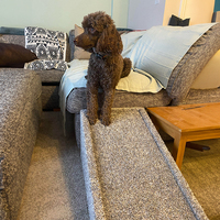 Logo personnalisé rampe pour chien escalier de sécurité robuste intérieur extérieur grimper rampe antidérapante équilibrée pour chien pour chien canapé