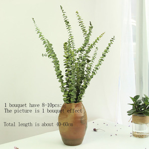 D-DF010 Naturel Véritable Fleur Sèche D'<span class=keywords><strong>eucalyptus</strong></span> globulus Feuille Préservé D'<span class=keywords><strong>eucalyptus</strong></span> pour Mariage Décoration de Fête À la Maison - Product Image 2