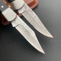 Hot Selling Rvs Vouwmes Hoge Hardheid Outdoor Camping Survival Hout Handvat Diy Barbecue Vlees Fruit 3 Jaar