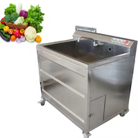 Automatische enkel- en dubbelcilinder ultrasoon bubbelreiniger voor fruitpuree, bladgroenten en reinigingsmachine
