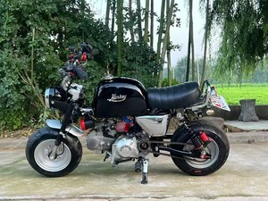 Motocicleta Retro Mini <span class=keywords><strong>Monkey</strong></span> 150cc Modificada, Estilo Z50, con Faro Redondo Amarillo - Product Image 4
