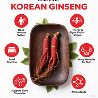 Boisson de racine de ginseng rouge coréen de marque privée supplément de santé pour hommes stimuler l'endurance soutien immunité fournir de l'énergie
