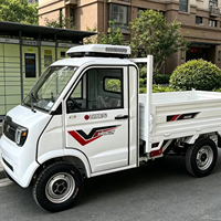 Camionnette de livraison électrique à quatre roues, 2 places, petite camionnette de livraison, carrosserie export, prolongateur d'autonomie et benne basculante en option