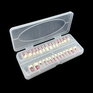 Endodontik gigi Endo, model saluran akar gigi untuk latihan RCT - Product Image 4