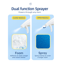 Bouteille en plastique transparente pour spray nettoyant liquide jetable écologique en gros, durée de conservation de 2 ans, pour l'élimination des impuretés