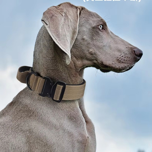 New Pet <strong>Collar</strong> Explosion-Proof Anti-Tear <strong>Dog</strong> <strong>Collar</strong> <strong>Tactical</strong> <strong>Collar</strong> for Medium and Large <strong>Dogs</strong> Wholesale in Stock - Product Image 3