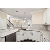 Meubles de cuisine haut de gamme populaires et armoires de rangement personnalisables, style Shaker modulaire, avec charnières à fermeture amortie