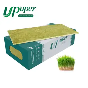 Upuper màu xanh lá cây lá cây gạo cây giống khay thủy canh microgreens đá len phát triển thảm