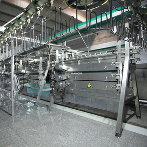 Ligne de traitement avancée pour l'abattage de poulets de chair, équipement d'abattoir avicole avec composants essentiels, 800 poulets/heure, 220V - Product Image 2