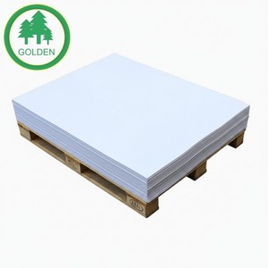 High Quality Smooth Surface White Bible <b>Printing</b> <b>Paper</b> 28gsm 30gsm Produced by Chinese Factories - Product Image 1