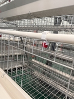 Cage à poulets en acier galvanisé pour élevage avicole, équipement de cage à volailles de haute qualité