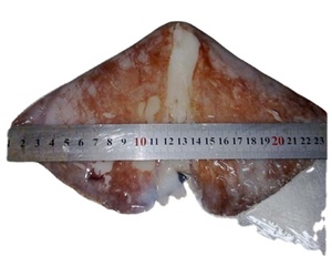 <span class=keywords><strong>ปีก</strong></span><span class=keywords><strong>ปลาหมึก</strong></span><span class=keywords><strong>ยักษ์</strong></span>แช่แข็ง - Product Image 2