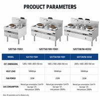 Cuisinière à gaz naturel professionnelle 50 kW en acier inoxydable à brûleur unique pour restaurant chinois, type Wok