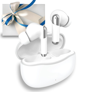 เครื่องช่วยฟัง TWS ราคาถูก, เครื่องช่วยฟังแบบชาร์จได้ราคาประหยัดสำหรับผู้สูงอายุ, ผู้ใหญ่ และผู้มีปัญหาการได้ยินรุนแรง พร้อมระบบตัดเสียงรบกวน - Product Image 1