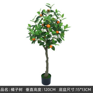 Macetas y jardineras Ins, <span class=keywords><strong>limonero</strong></span>, tienda de ropa en maceta, <span class=keywords><strong>Interior</strong></span> accesorios de decoración para el hogar, adornos, árbol, planta verde - Product Image 6