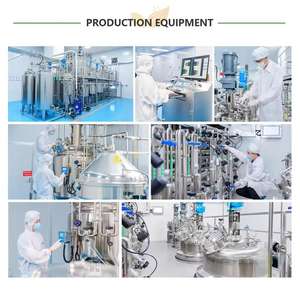 مستخلص أوراق الداميانا عالي الجودة من المصنع، منتج رائج للبيع بالجملة - Product Image 2