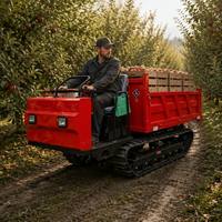 Mini-dumper chenillé diesel haute performance pour travaux lourds avec pompe hydraulique pour l'agriculture et l'ingénierie
