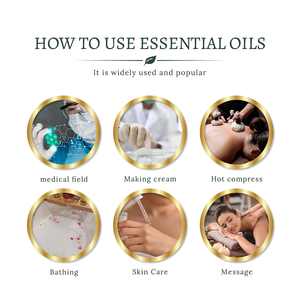 Aceite Esencial de Wintergreen 100% Puro y Orgánico para el Cuidado Corporal, Venta al por Mayor de Fábrica, Mejor Precio, Muestra Gratuita - Product Image 5