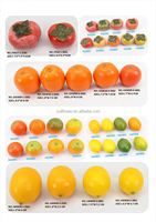 LO-703 Groothandel Hoge Kwaliteit Realistische Kunstfruitset Kunstvruchten voor Keuken Decoratie en Eten Presentatie