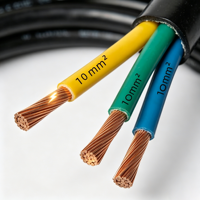 Câble électrique à 3 conducteurs épaissis de 10 mm² pour lignes de transmission de puissance à courant élevé