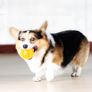 <span class=keywords><strong>Palla</strong></span> Rimbalzante per Addestramento Cani, Resistente ai Morsi, in TPR, con Fischietto Integrato, Morbida e Appuntita, Giocattolo Divertente per Cani e Animali Domestici - Product Image 5