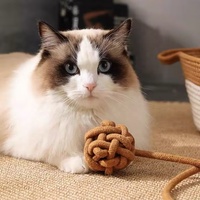 Tissé à la main solide motif coton corde chat lit naturel fait à la main pliable nid de couchage panier avec berceau jouant corde balle