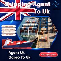 Agente de Transporte Marítimo, Puerto de Felixstowe, Reino Unido, Servicios de Envío DDP, Transitario de Carga Marítima Puerta a Puerta