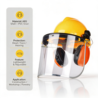 Casque de sécurité avec écran facial transparent en PVC et protège-oreilles, protection auditive industrielle pour la tête et le visage