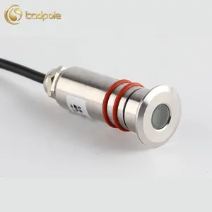 10mm LED Mini Lâmpada Subaquática Enterrado Aço Inoxidável Pequeno Holofotes 12V/24 Jardim Árvore Holofotes Pequeno 1W rodada Lâmpada Enterrado