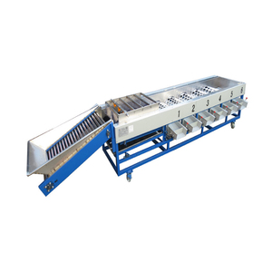 Fruit Size Sorter Price Small Fruit Sorting Machine Fruit Washing Machine - Product Image 4