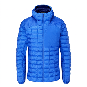 Veste d'hiver légère pour homme, à capuche, zippée, en duvet, imperméable, respirante, de haute qualité - Product Image 1